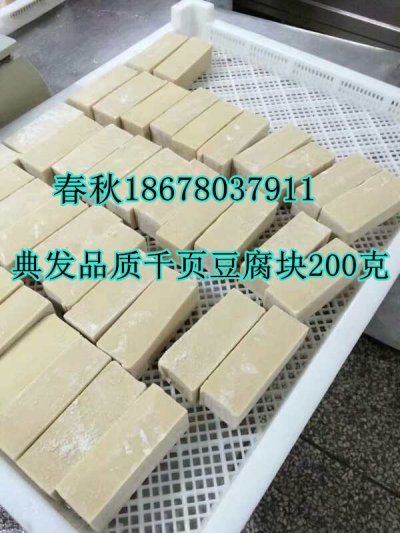 千頁豆腐無泡塊生產(chǎn)技術(shù)工藝真空去泡機(jī)