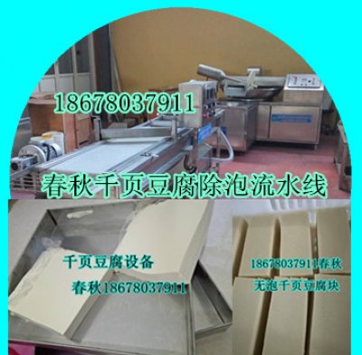 千頁豆腐流水線設(shè)備春秋免費技術(shù)上門服務(wù)