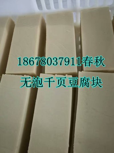 千頁豆腐無泡技術(shù)，千頁豆腐無泡設(shè)備春秋免費
