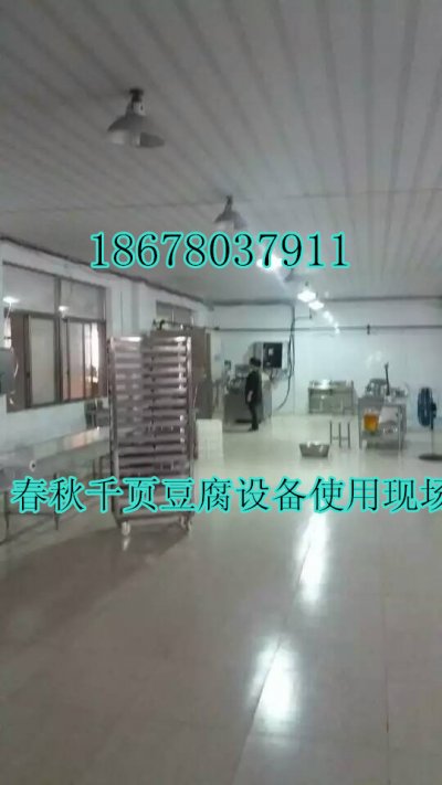 千頁豆腐設(shè)備高速斬漿機(jī)4500轉(zhuǎn)變頻調(diào)速成本低