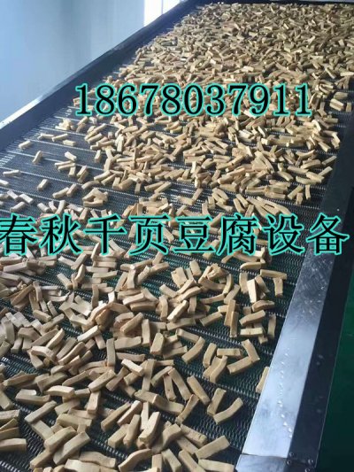 千頁豆腐塊片灘晾床,千頁豆腐干絲風(fēng)干設(shè)備