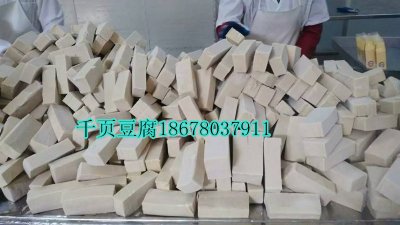 千頁豆腐白塊典發(fā)品質(zhì)無泡千頁豆腐設(shè)備免費(fèi)包